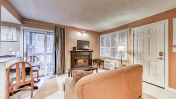 TV, fireplace, books