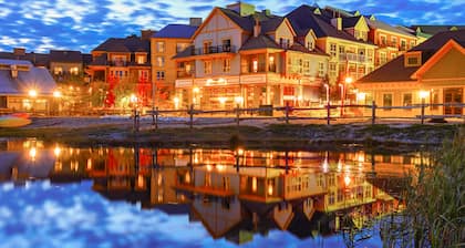 Dog-friendly condo w/ shared pool & tennis - walk to slopes