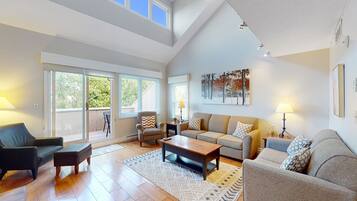 Televisie, een open haard en een dvd-speler