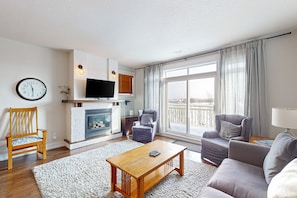 TV, fireplace, DVD player