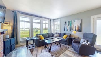 TV, lareira, DVD player