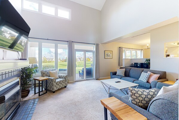 Televisión, chimenea, reproductor de DVD y estéreo 