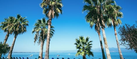 Playa