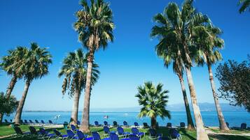 A beachside lounge with rows of blue lounge chairs and tall palm trees under a clear blue sky.