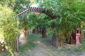 Jardí