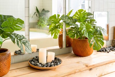 Canopy Cortina Lodge