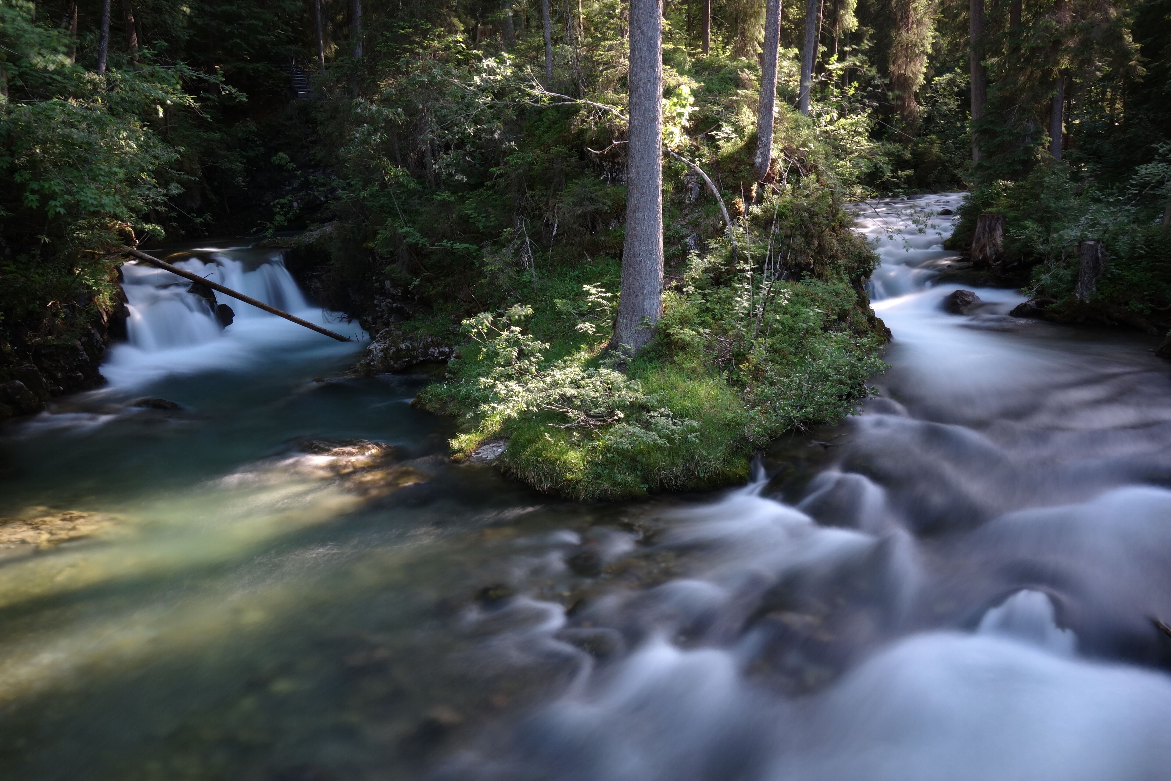 A serene forest stream with a waterfall, surrounded by dense greenery and trees.