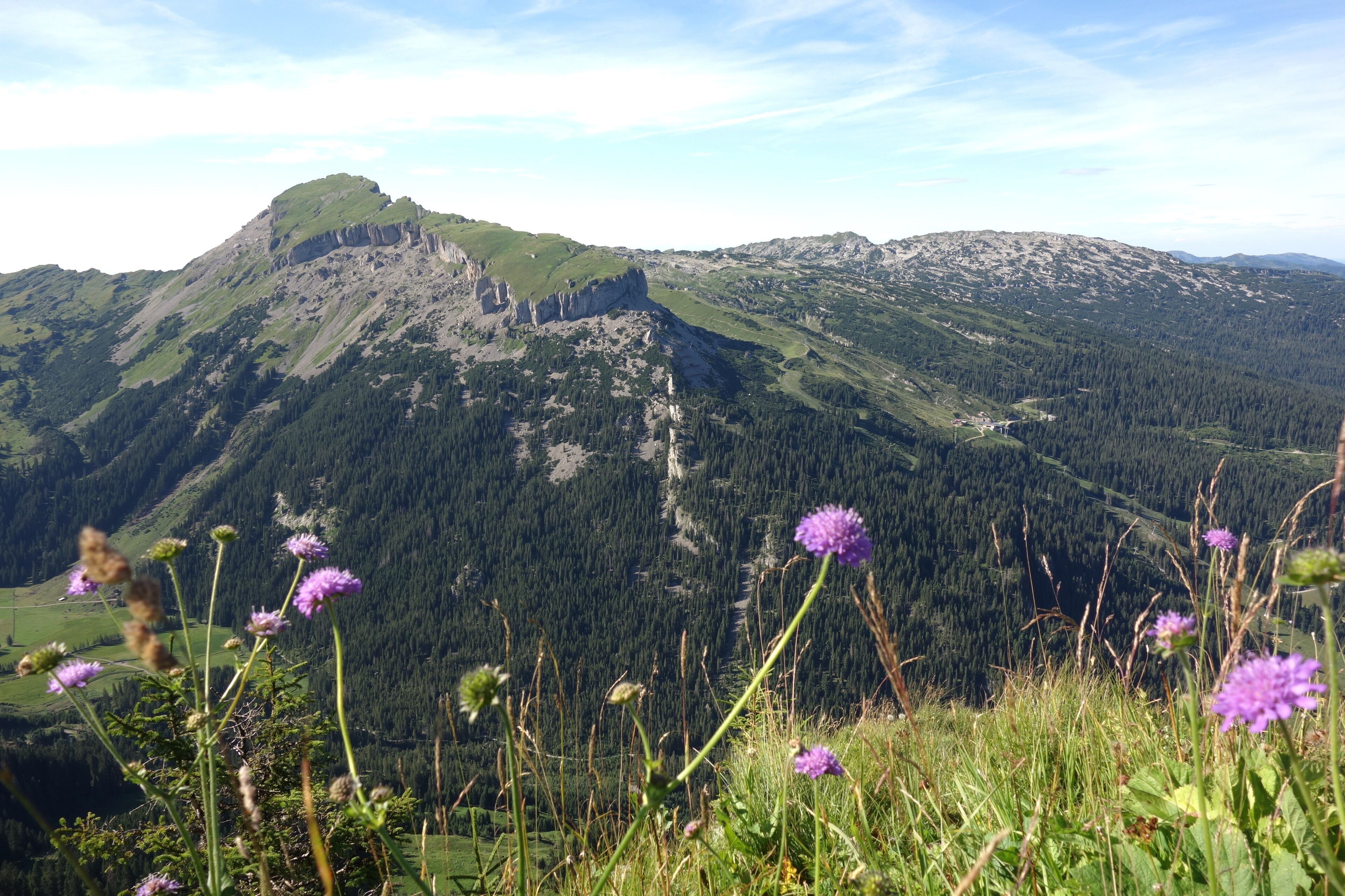 A mountainous landscape with green valleys and purple flowers in the foreground.