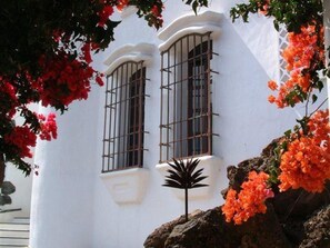 Detalle exterior