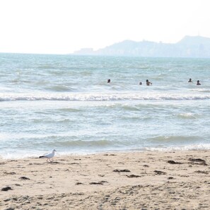 Pantai
