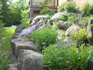 Escape to a serene garden oasis with lush greenery and vibrant blooms.