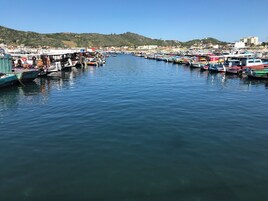Pesca