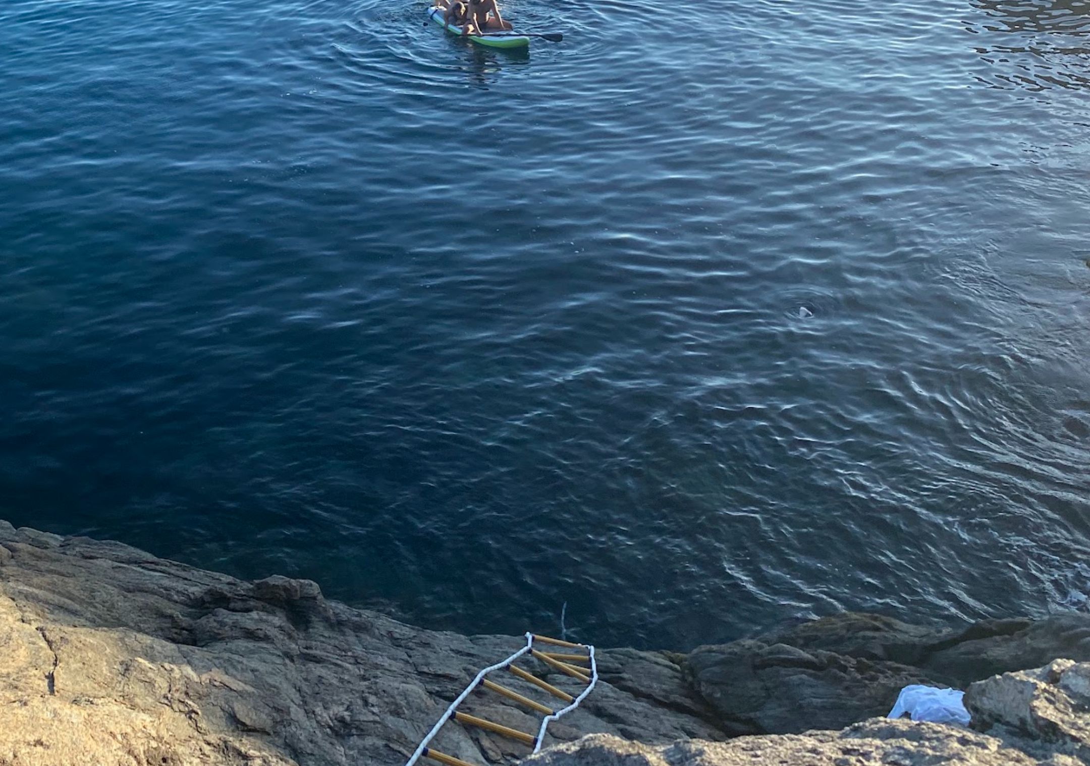 En klippig kuststräcka med en stege som leder ner till vattnet.