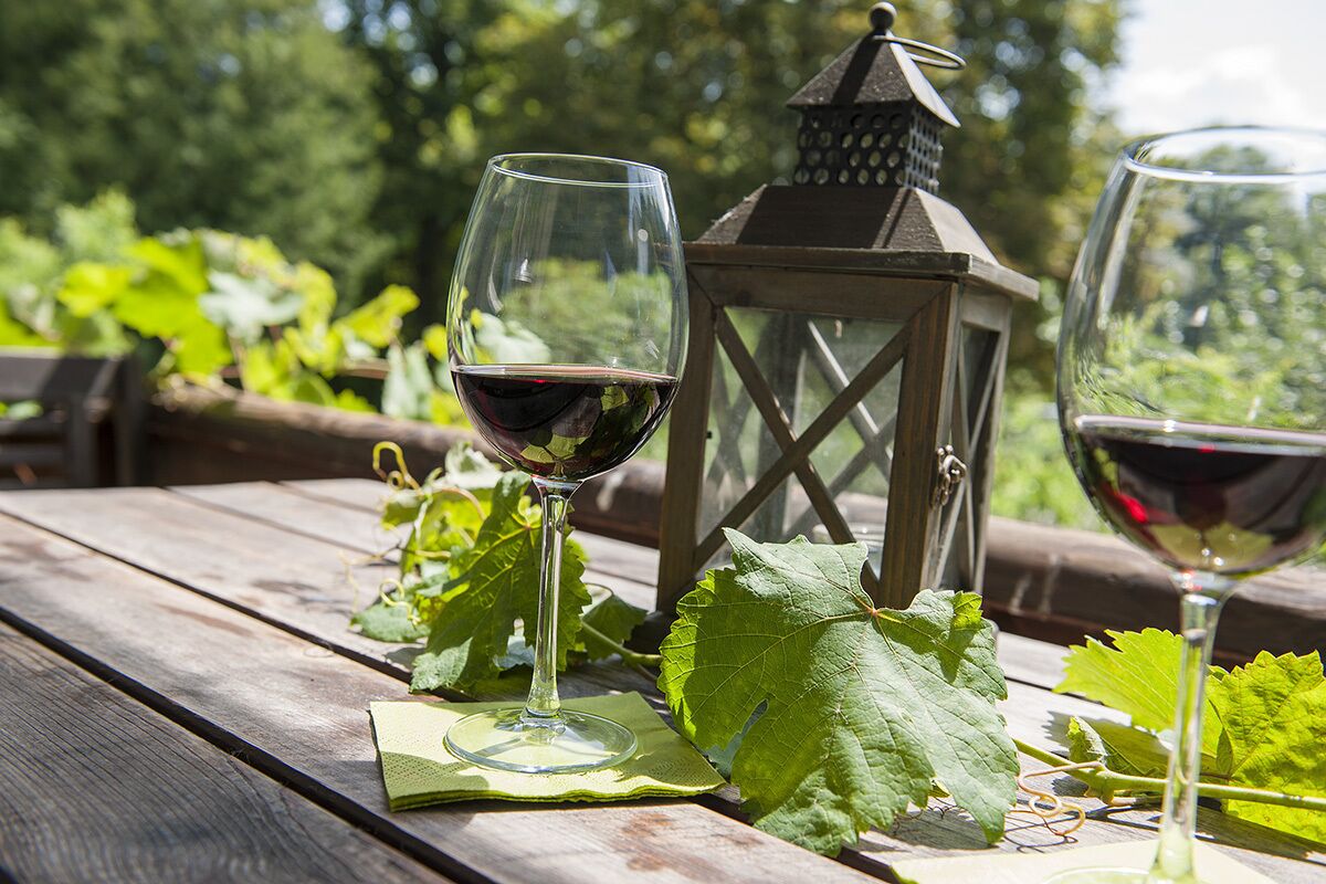 Due bicchieri di vino su un tavolo di legno con una lanterna e foglie verdi.