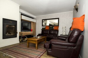 TV, fireplace, books, computer monitors