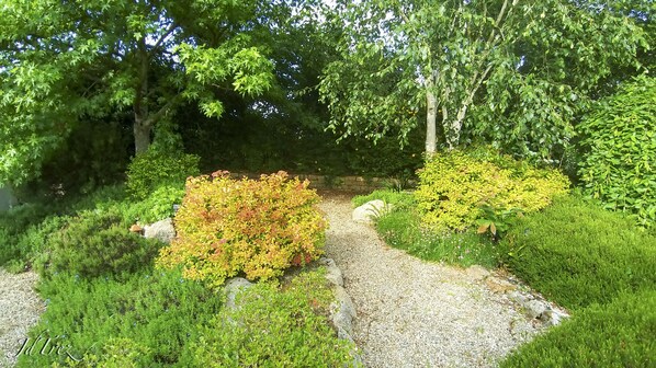 A garden with a gravel path, various shrubs, and trees.