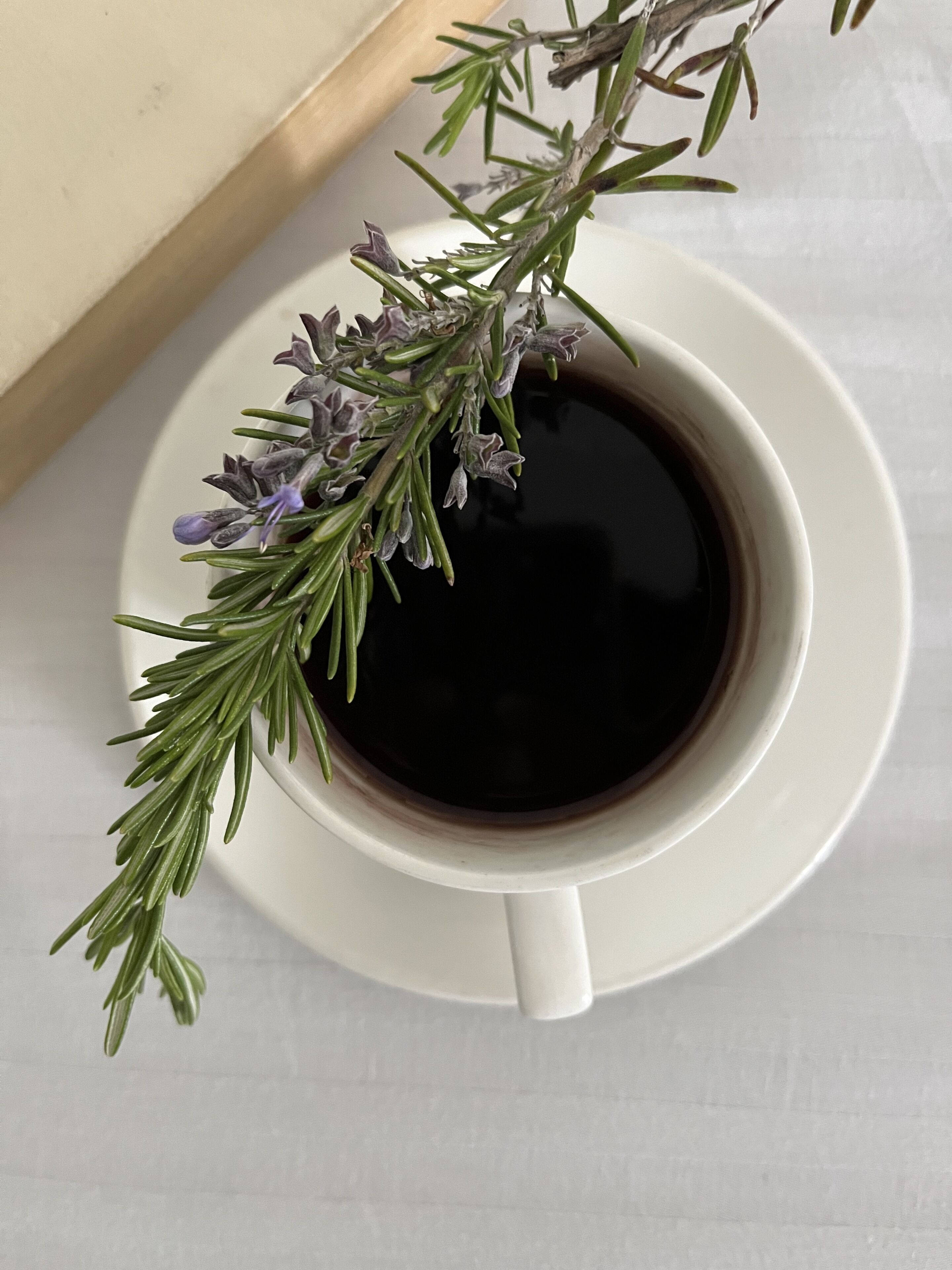 A white cup of black coffee with a sprig of rosemary on a white saucer.
