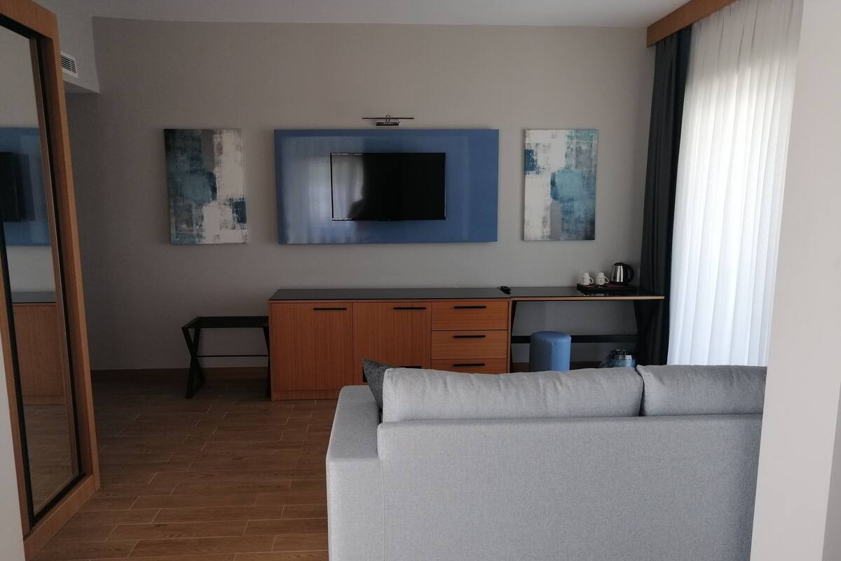 Un salon moderne avec un canapé gris, des meubles en bois, un téléviseur à écran plat, des œuvres d’art abstraites accrochées au mur et une fenêtre avec des rideaux.