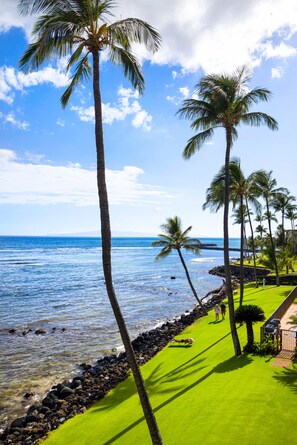 On the beach - Sea La Vie Secluded Oceanfront condo, Magical Sunrise romantic honeymoon Getaway (Wailuku)