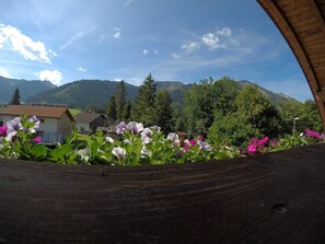 Imagem sem classificação, 3 de 11, botão