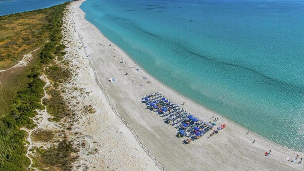 An aerial view of a beach with clear turquoise waters, a sandy shore, and a row of beach umbrellas. - Apartment in San Teodoro (San Teodoro (SS))