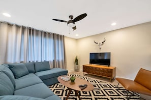 TV