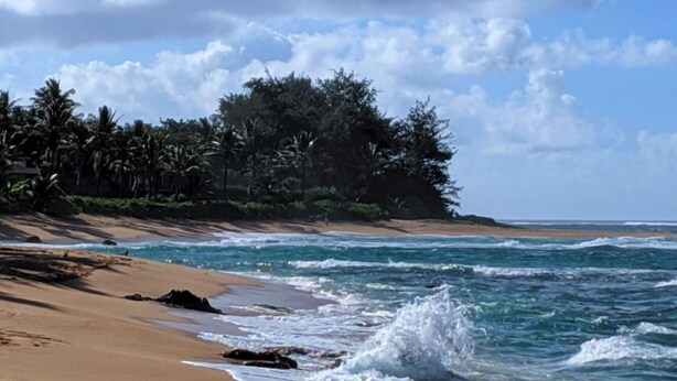 A beach with waves, a sandy shore, and a forested area in the background. - North Shore Kauai- AC, pool, lanai; near beaches, golf, walking path to shops (Princeville)