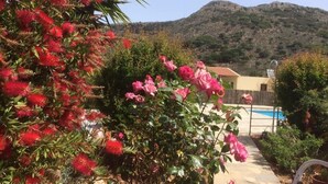 Ein Garten mit roten und pinkfarbenen Blüten, einem Pool und einem Berg im Hintergrund.