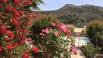 Een tuin met rode en roze bloemen, een zwembad en een berg op de achtergrond.