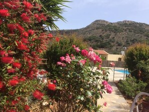 Property grounds - Detached traditional 2 bedroom villa sleeps 4/5<br>Free WiFi  (chania)