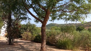 A gravel path surrounded by trees and shrubs, leading to a hilly landscape in the background. - Fazendinha (Tavira)