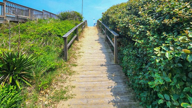 Un sendero de madera lleva a un faro, rodeado de vegetación exuberante y una cerca de madera en un lado.