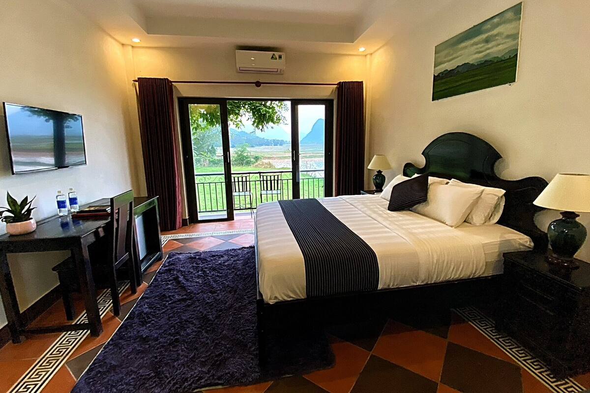 Habitación de hotel con cama, televisión, escritorio, planta y vistas al exterior.