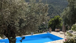 Une piscine aux carreaux de pierre, entourée d’oliviers et offrant une vue sur une colline boisée.