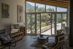 Smart TV, fireplace, DVD player, books