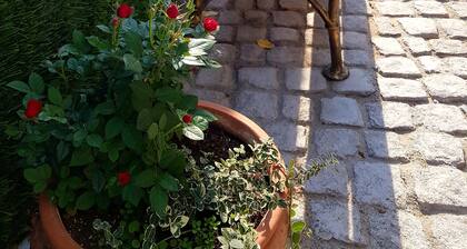 A romantic house in the heart of the SPA capital of the Balkans