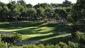 Ein Golfplatz mit einem gepflegten Grün, Sandbunkern und verschiedenen Bäumen.