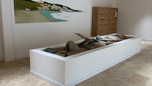 A reception area with a white reception desk, a wall-mounted painting of a coastal scene, and a wooden cabinet with drawers. - Standing apartment seen on sea (Propriano)