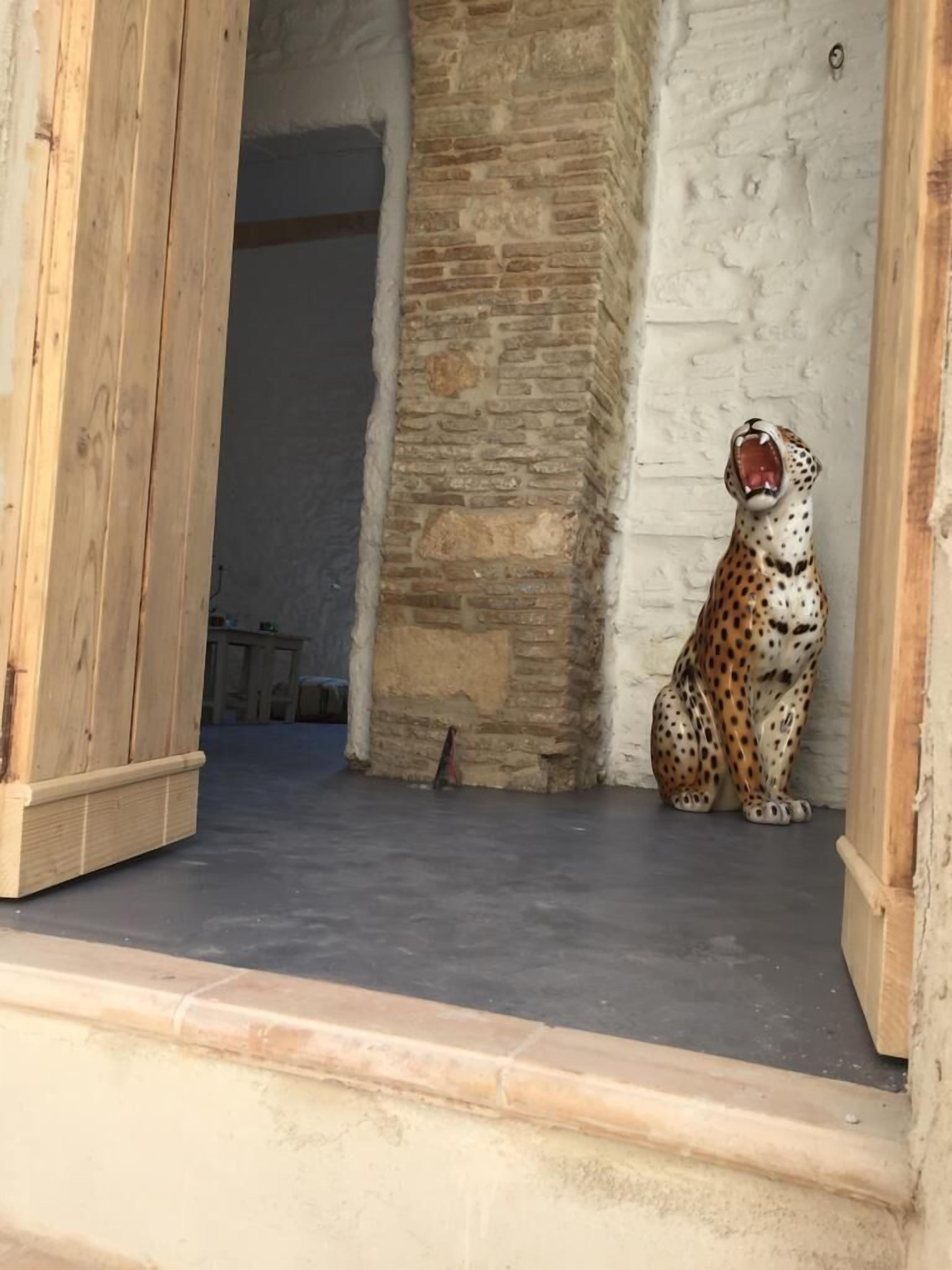 Un gato leopardo sentado en un umbral, con un muro de piedra y un marco de puerta de madera.