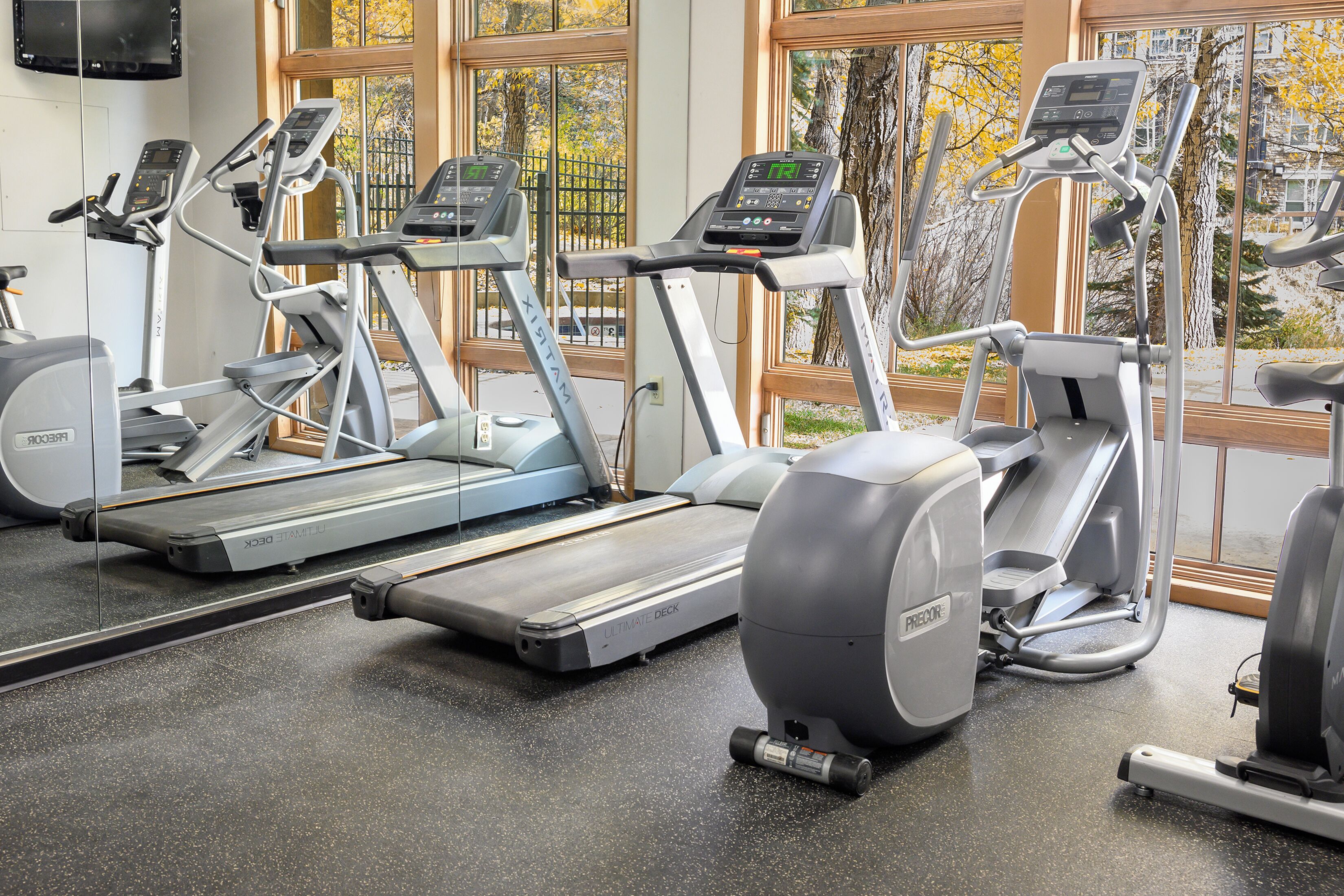 A gym with treadmills and elliptical machines, large windows, and a view of trees and buildings outside.