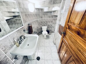 Kylpyhuone, jossa on valkoinen pesuallas, wc ja puinen ovi.