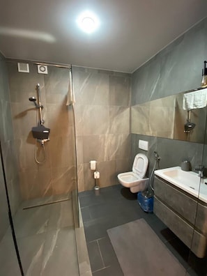 Bathroom - Apartment Mala Zhutomirska Str (Shevchenkivs'kyi district)
