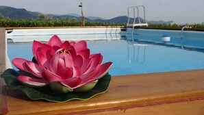 A pool with a lotus flower decoration, a clear sky, and mountains in the background. - LAST-MINUTE!FANTASTIC PART OF RUSTIC IN THE VIEW ONLACOLLINE WITH PRIVATE POOL (Massarosa)