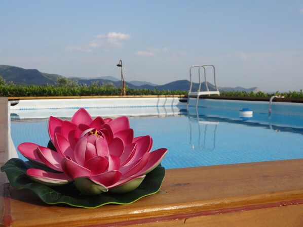 Alberca al aire libre 