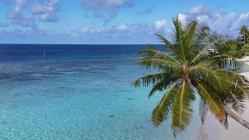 Beach umbrellas, beach towels