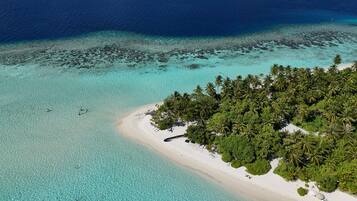 Sombrillas, toallas de playa