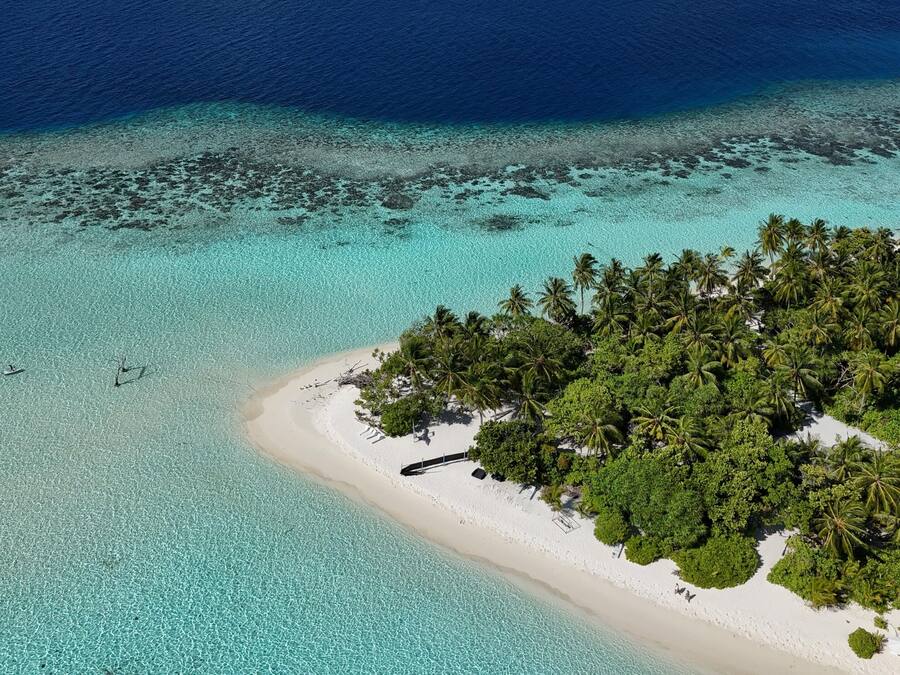 Parasols, strandlakens