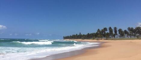 Sun loungers, beach towels