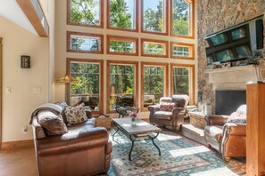 Smart TV, fireplace, DVD player, books