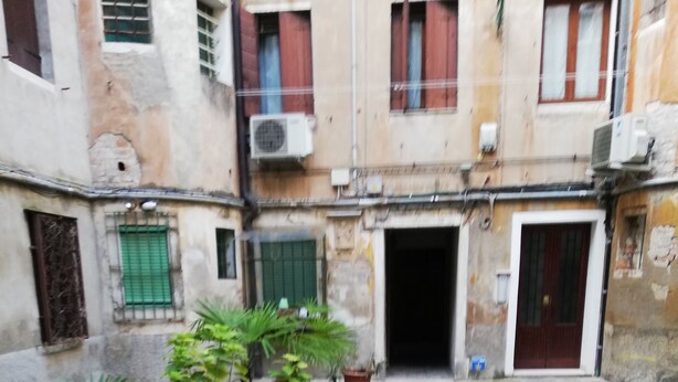 Un patio con plantas en macetas, piso de baldosas y entrada a un edificio.